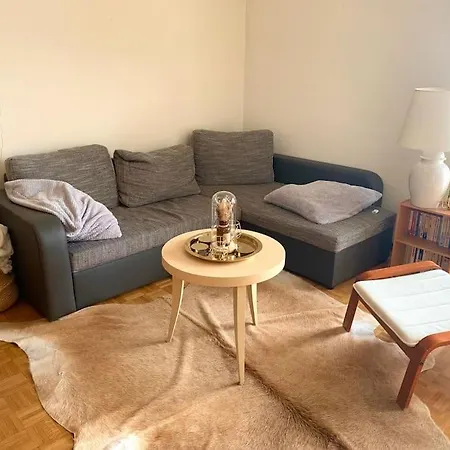 Grand 4,5 Pieces Renove Et Lumineux *