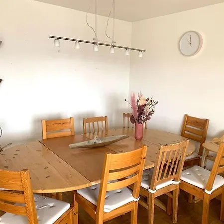 Grand 4,5 Pieces Renove Et Lumineux