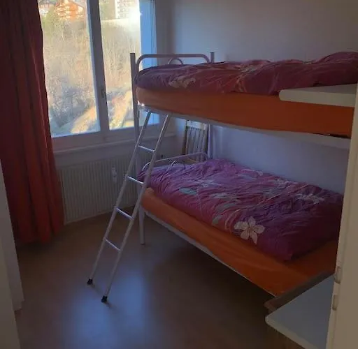 Grand 4,5 Pieces Renove Et Lumineux Кран-Монтана