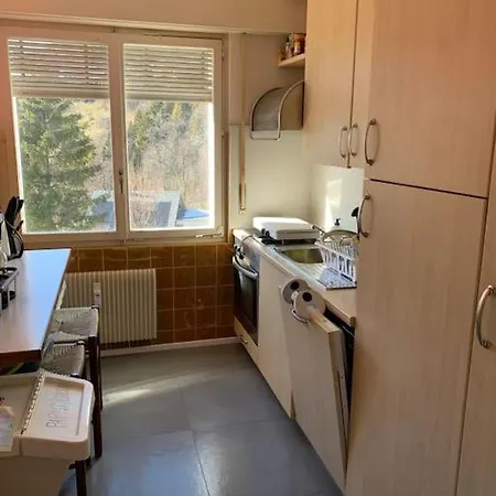 Grand 4,5 Pieces Renove Et Lumineux 公寓